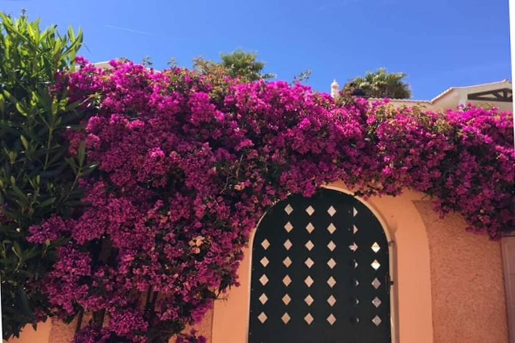 Vila Bela Nova Acacias 22 Luz Kültér fotó